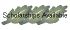 Scholarships Available